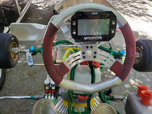 Load image into Gallery viewer, 2017 Tony Kart ROK GP TaG