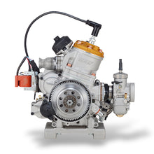 Load image into Gallery viewer, ROK GP Junior Engine Package