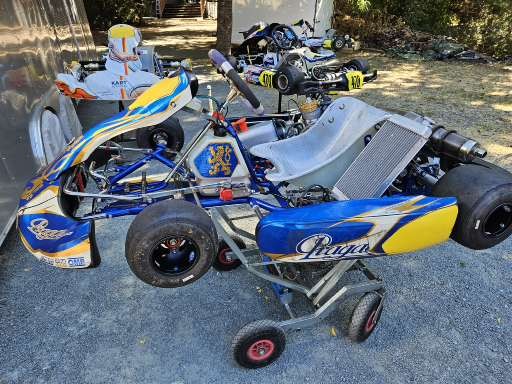 2017 Praga ROK GP Racing Kart โ Kartspeed Motorsports