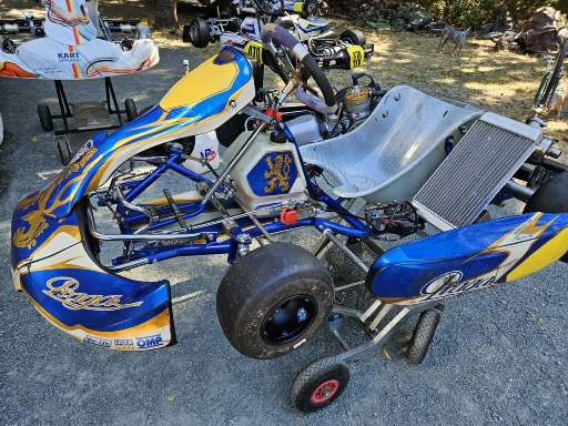 2017 Praga ROK GP Racing Kart โ Kartspeed Motorsports