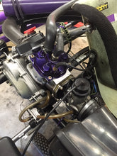 Load image into Gallery viewer, 2009 CRG Rotax DD2 125cc Shifter Kart